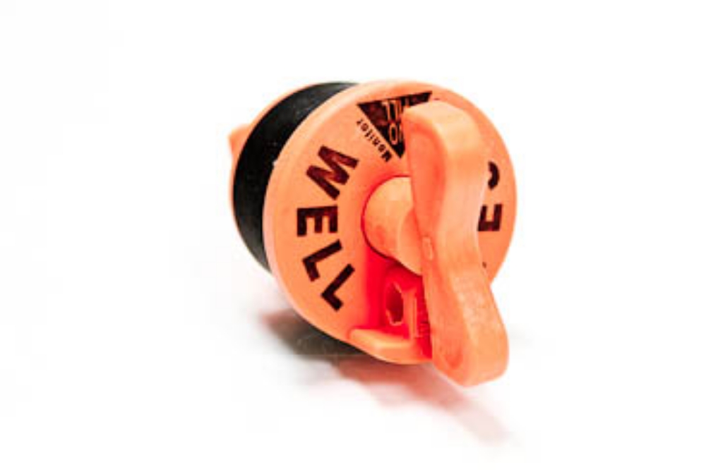 Picture of 2" Torquer Locking Plug, SCH80